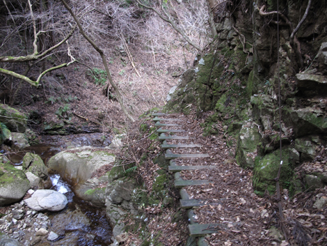 20170113hike (466)